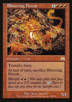 Blistering Firecat